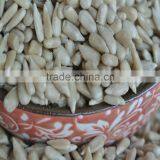 Sunflower Kernels of Bakery Kernel and Confectionary thumbnail-2