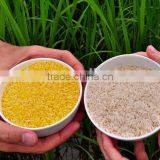 Artificial Rice Machine/Machinary/Processing Line/plant Quality Choice