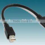 MINI DisplayPort Male to MINI DisplayPort Male Converter