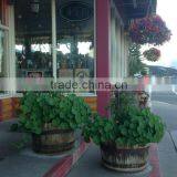 LEAFFY-Antique Wooden Barrels thumbnail-2