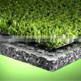 LANDSCAPPING TURF thumbnail-2