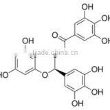 T-full EGCG - Our Key Product thumbnail-3