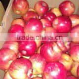 Fresh Apples thumbnail-5