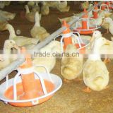 BC Automatic Pan Feeding system for Duck and Goose