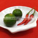 Malaysia Made Melamine Shell Shape Sauce Plate thumbnail-1