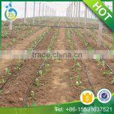Gravity Drip Irrigation System Design
