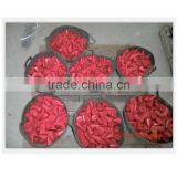 High Quality Colorful Plumb Bob for Building Construction thumbnail-1