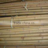 Dry Bamboo Sticks thumbnail-1