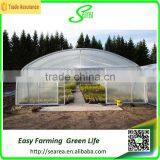 Low Cost Greenhouse Tunnels Polytunnel Green House thumbnail-3