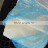 Giant Squid Fillet(Dosidicus Gigas)