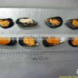 IQF Mussel Meat With Shell thumbnail-1