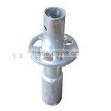 2000mm Ringlock Scaffold Standard/False Timbering thumbnail-5