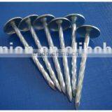 China Roofing Nails/roofing Nails Umbrella Head/roofing Nails Cheap Price thumbnail-5