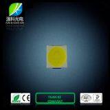 Hot Sale 2 Chips 1W SMD LED 3030 White 110-120lm thumbnail-1