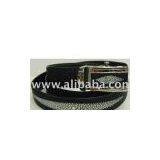 Stingray Men's Belt
