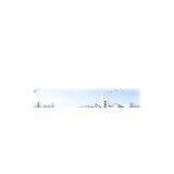 Dalian Xinghe Yeast Co., Ltd company overview - view 1 thumbnail