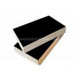 Excellent quality Shuttering Plywood