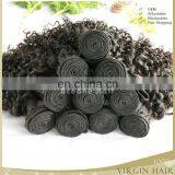 Virgin Brazilian Curly Hair Tight Curly Hair Hair Extension Kinky Curly thumbnail-4