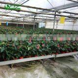 New Design Greenhouse Netting Bed In Plants Nursery In Sri Lanka thumbnail-4