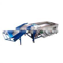 Factory avocado grading machine/fruit classifier/electronic fruit sort machine