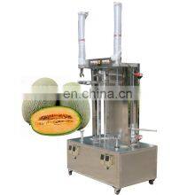 Factory Supplier Coconut Peeler Pineapple Fruit Skin Peeling Watermelon Processing Machine Good Price