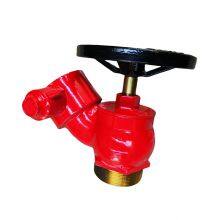 2-1/2 Oblique Landing Valve thumbnail-4