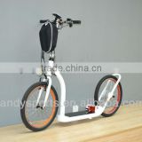 foldiing electric bicycle ,kick scooter(LDH-13)