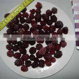Frozen Blackberry thumbnail-1