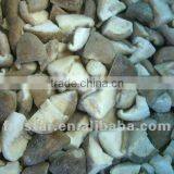 Top sale frozen shiitake mushroom new crop