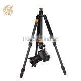 Q476 Quality Assurance DSLR Camera Tripod , Carbon Fiber Tripod Stand With Twist Lock and Ball Head thumbnail-4