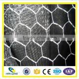 Hanqing Galvanized / PVC Chicken Wire Mesh Manufacture thumbnail-4