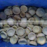 Frozen Artichoke Bottoms