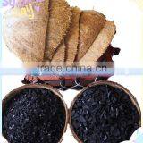Coconut Shell Based Extruded Activated Carbon