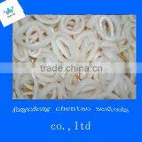 Frozen Squid Ring Import China Morocco
