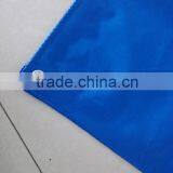 Various Virgin Material Colorful pe Tarpaulin Fabric thumbnail-1