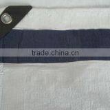 Reinforced Plastic Tarpaulin Sheet for Temporary Shelter