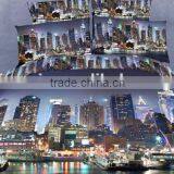 Modern and Fashion Luxuary 100%cotton 3D Reactive Printed Bedding Sets