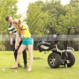 Cheap Adult Vehicle Prices Electric Golf Car