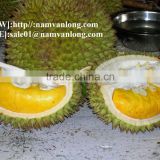 Supply Fresh Durian Fruit 2016