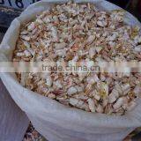 Dried Shrimp Shell For Animal Feed or Chitin