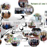 Good Quality Fresh Garlic thumbnail-4