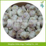 High Quality China Garlic White Natural Garlic