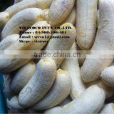 Soft Dried Banana thumbnail-5