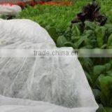 PP Spunbond Non-woven Fabric for Agriculture Cover 65gsm