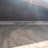 Eucalyptus Wood Chips From Vietnam thumbnail-4