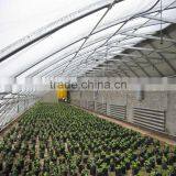 Agriculture Greenhouse Hydroponic System Vertical thumbnail-3