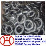 Duplex2205 S31803 Spring Washer thumbnail-1