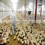 Prefab Cold Formed Steel Chicken Farm/Shed/Building thumbnail-2