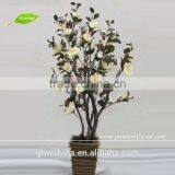 BLS034 GNW Artificial Home Decoration Products Bonsai Plants thumbnail-1