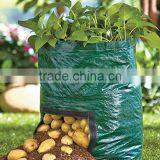 Potato Planter Bag thumbnail-2